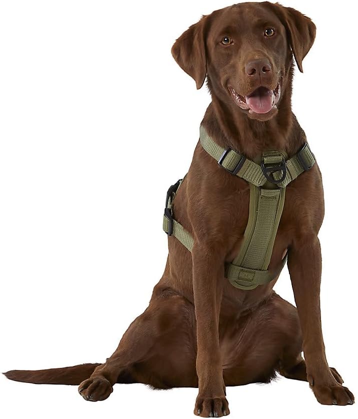 KONG Ultra Durable Waste Bag Harness (Medium, Green)
