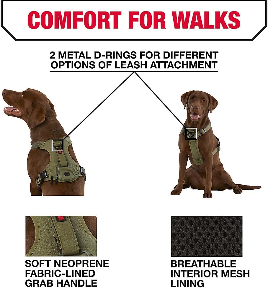 KONG Ultra Durable Waste Bag Harness (Medium, Green)