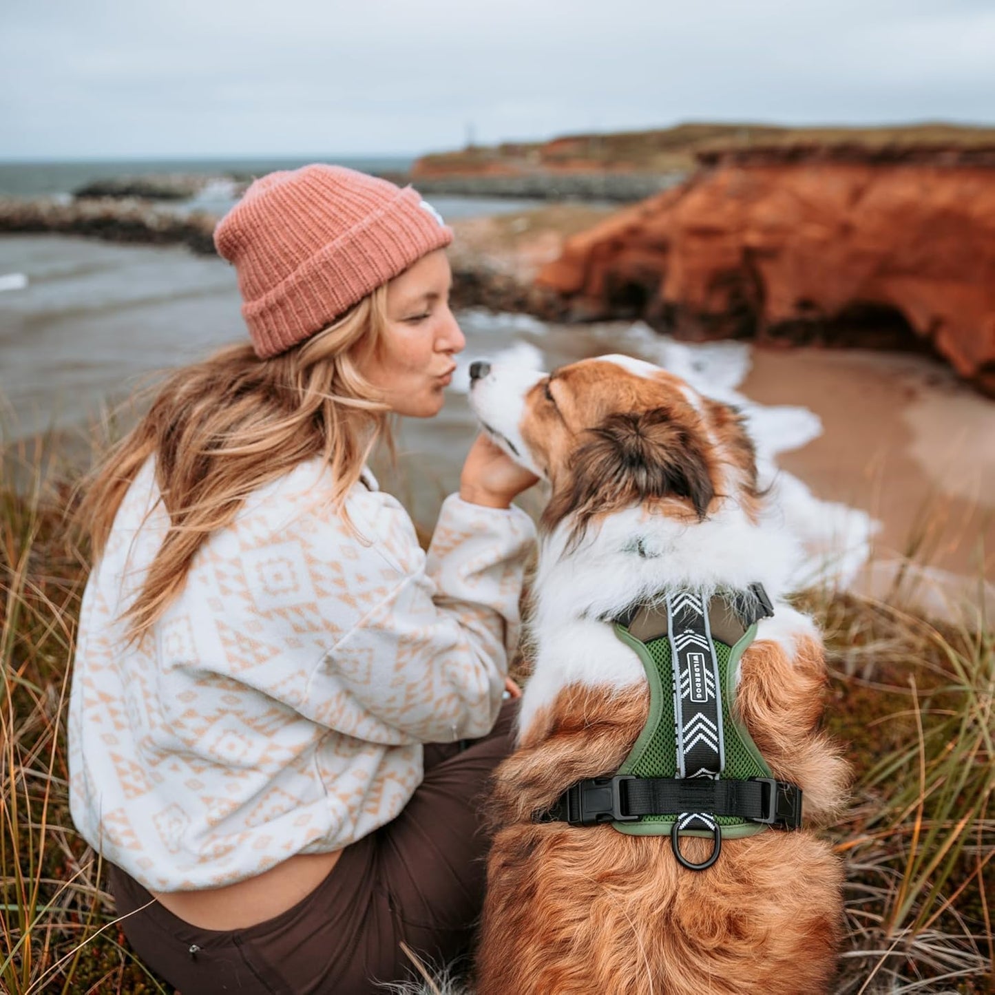 Wilderdog Lightweight Dog Harness with Reflective Straps