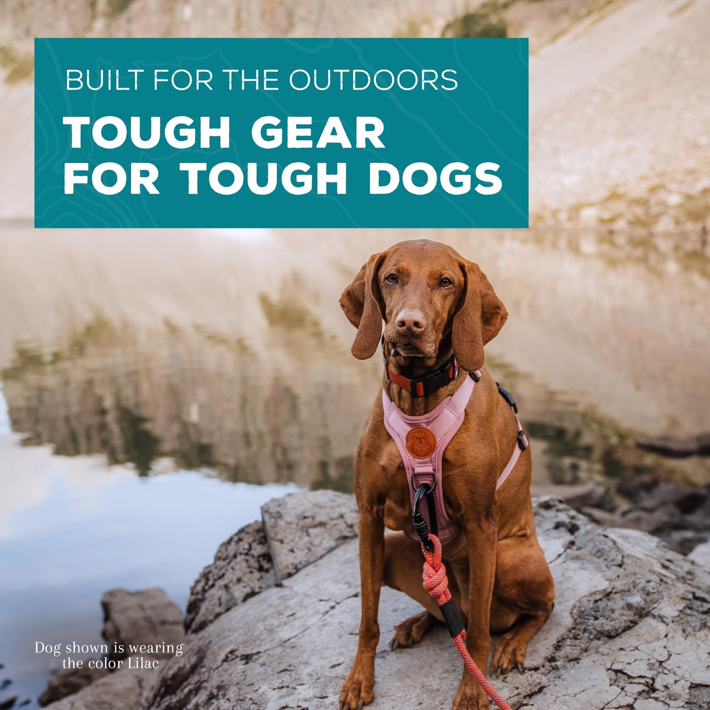 Wilderdog Lightweight Dog Harness with Reflective Straps
