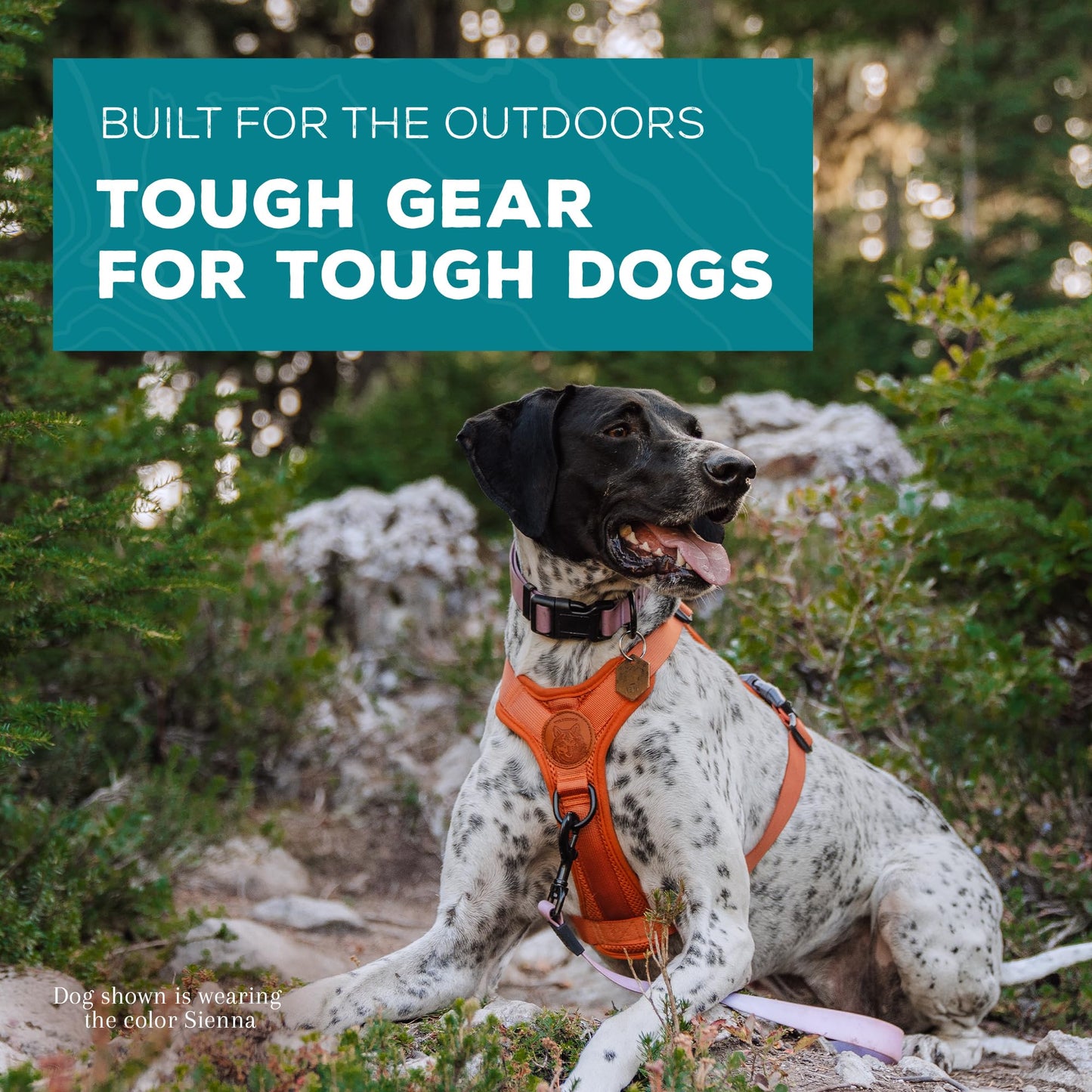 Wilderdog Lightweight Dog Harness with Reflective Straps