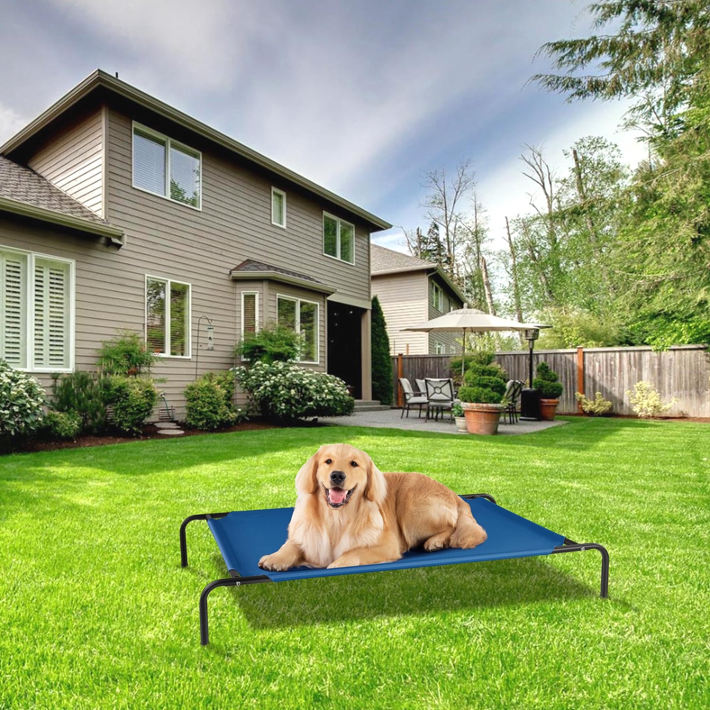 Elevated Dog Bed for Large Dogs,Raised Dog Cots,Indoor & Outdoor Cooling Waterproof Pet Hammock with Washable Breathable Mesh,Blue 50in