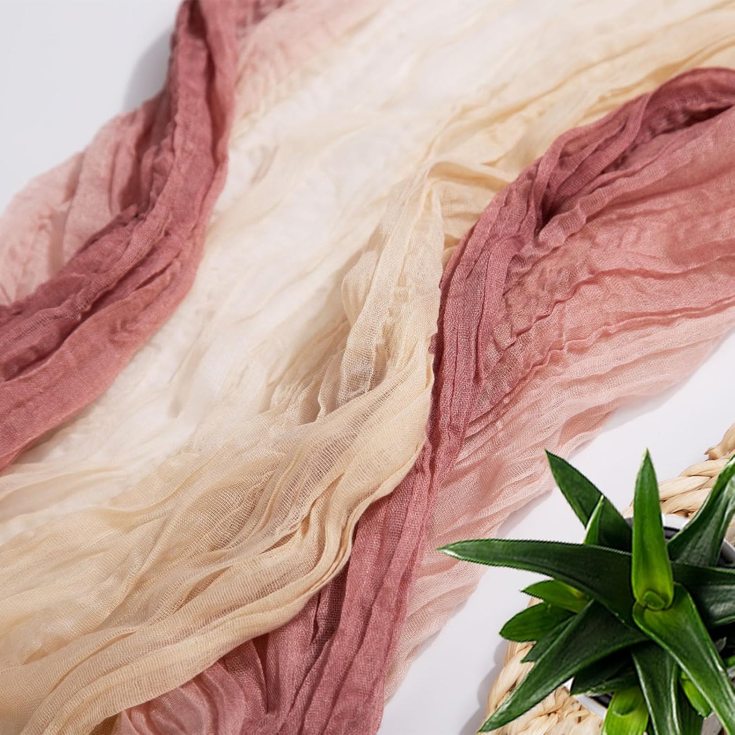 Captivating Style with a Modern Twist - (Pack of 1, 6 or 12)