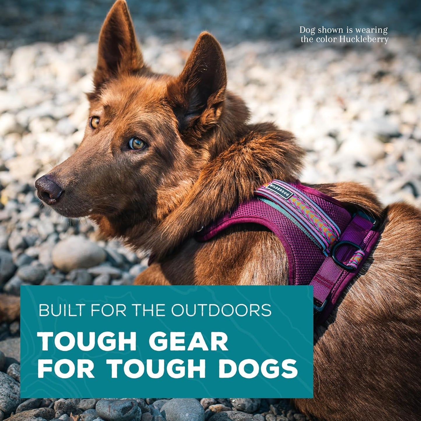Wilderdog Lightweight Dog Harness with Reflective Straps