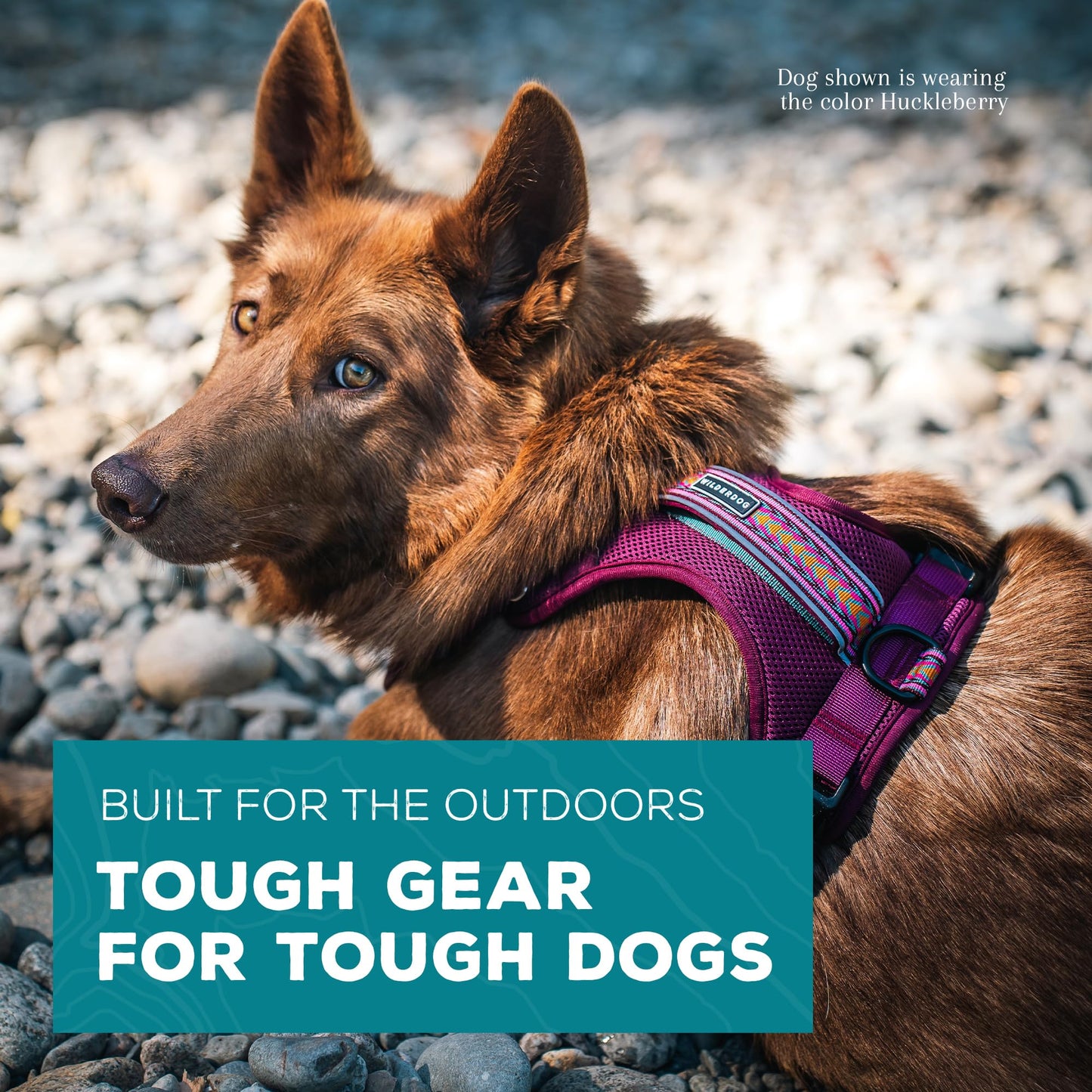 Wilderdog Lightweight Dog Harness with Reflective Straps