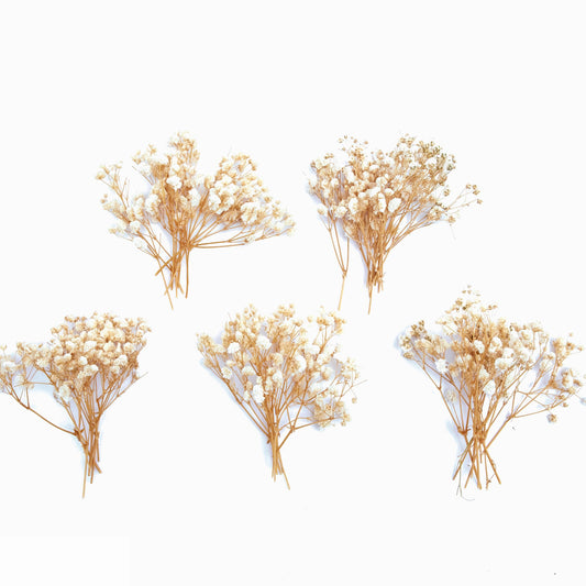 50 pcs Mini Dried Purple Baby Breath Flower