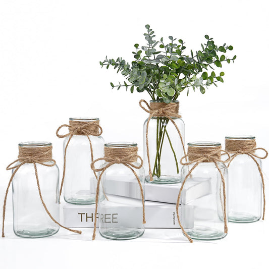 Vintage Glass Vases for Flowers, Set of 6 Clear Vases for Farmhouse Wedding